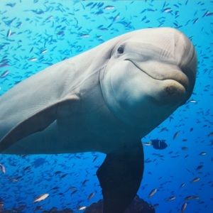 Meet your Posher, Jen